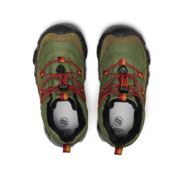 Big Kids' Hypowser Waterproof Chukka | Forest Night/Garnet