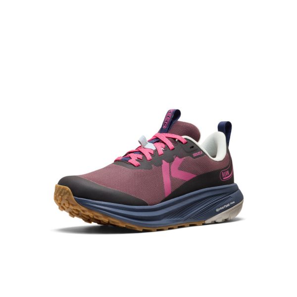 Women's Roam Waterproof Trail Running Shoe  |  Huckleberry/Ballad Blue