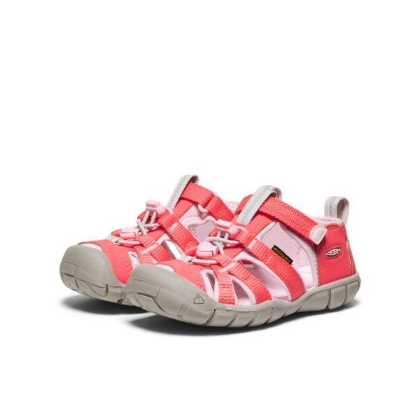 Little Kids' Seacamp II CNX | Dubarry/Giggle Pink