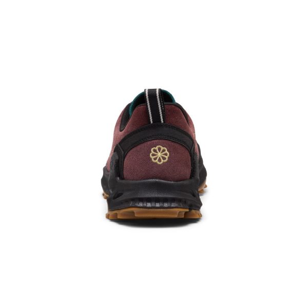 Men's Jasper Zionic Sneaker  |  Huckleberry/Lemon Grass