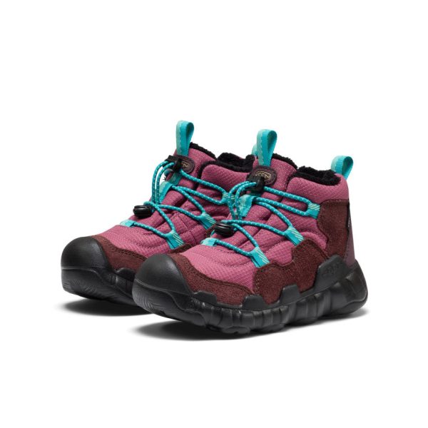 Little Kids' Hypowser Waterproof Chukka | Huckleberry/Violet Quartz