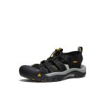 Men's Newport H2 Sandal Wide | Black